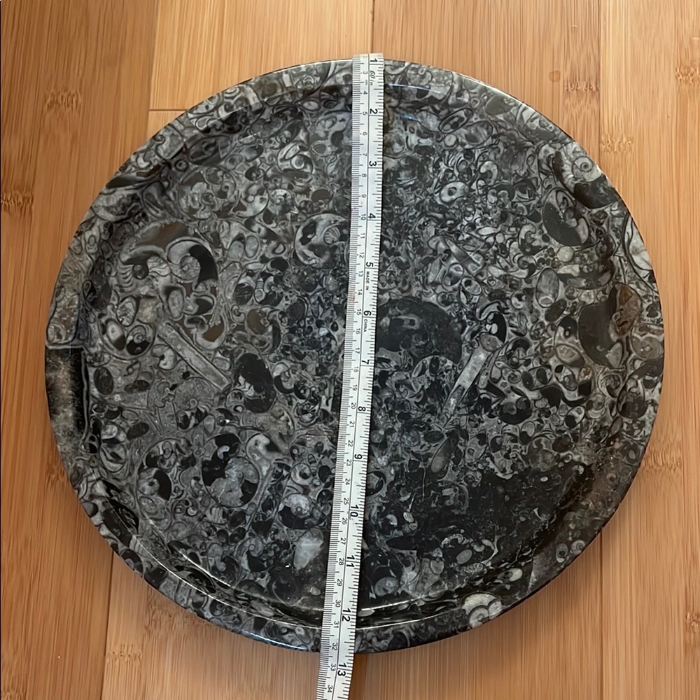 AMMONITE PLATE